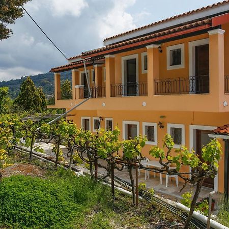 Andreas Apartments Agios Georgios Pagon Exterior foto